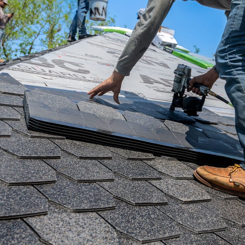 Shingle